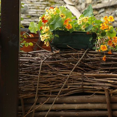 Residence Casa Dei Fiori Alagna Valsesia Εξωτερικό φωτογραφία